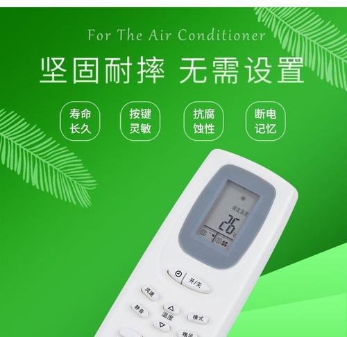 三洋空调清洗处理方法（了解三洋空调清洗的重要性及正确操作方法）