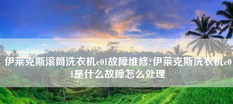 解决伊莱克斯波轮洗衣机E2故障的方法（常见原因及维修指南）