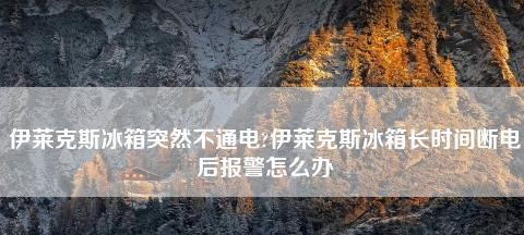 探究伊莱克斯冰箱常见故障及解决方法（保持冷静）