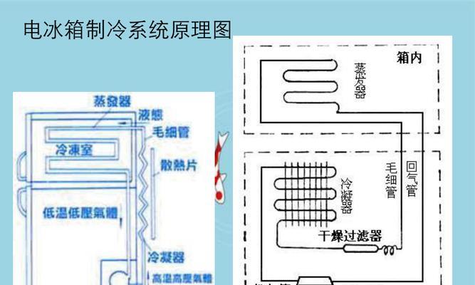 冰箱老是跳闸，探究原因及解决方法（解读冰箱跳闸的原因和有效解决方案）